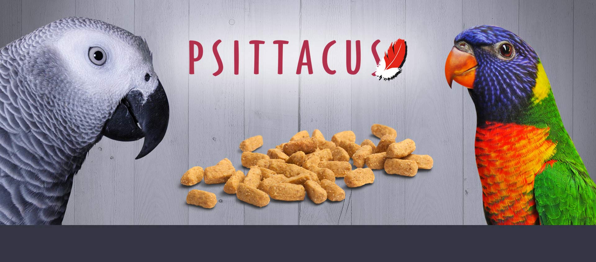 Psittacus 2